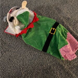 Holiday Green Elf Dog Costume with Red Accents